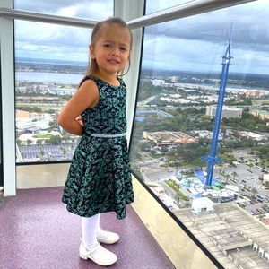 4t Holiday Dress